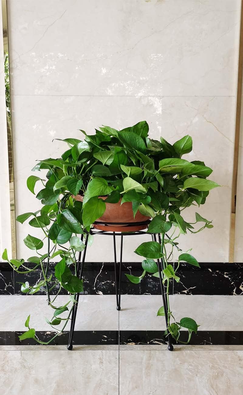 iLTreFlo 18.7 inches (18.7 inches Midcentury Modern Metal Potted Plant Stand Tall Flower Pot Holder Large Rustproof