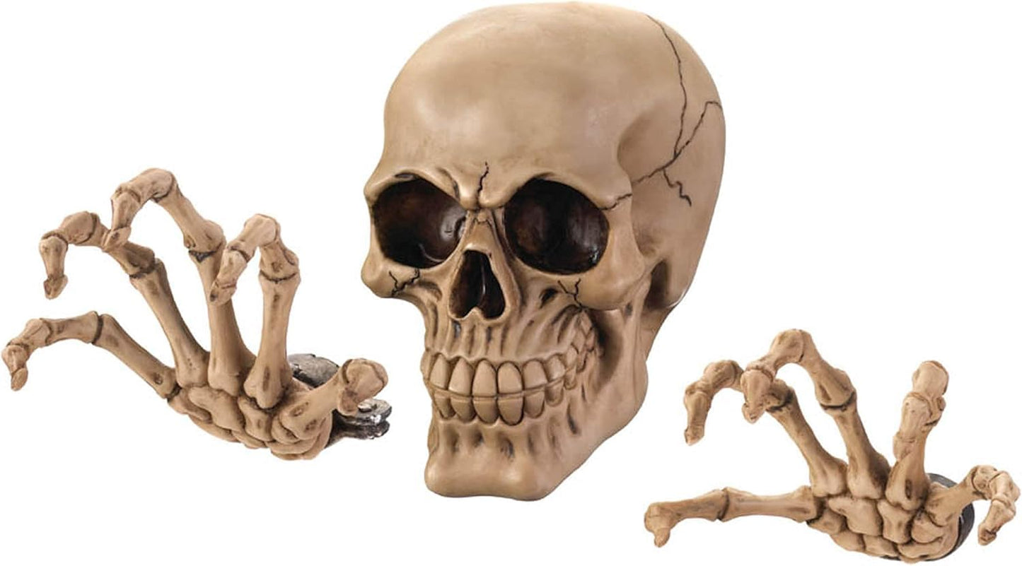 Dragon Crest Skeleton Wall Decor Set 3.87x3x5.75