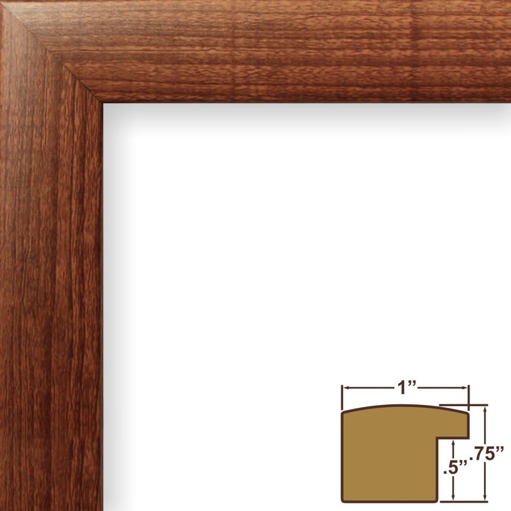 23247616 8 10 Inch 5 7 Inch Craig Frames x Walnut Brown Picture Frame Matted to Display a x Photo