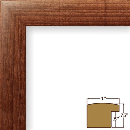 23247616 8 10 Inch 5 7 Inch Craig Frames x Walnut Brown Picture Frame Matted to Display a x Photo