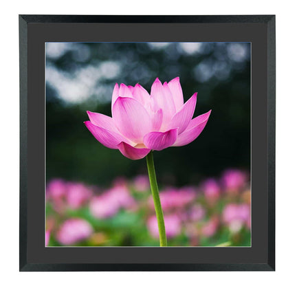 Mxtallup 18 x 18 in Diamond Painting Picture Frames 16x16in Diamond Art Frame , Display Pictures16x16 Inch/ 40x40 cm with Mat or 18x18 Inch/45x45 cm Without Mat, Wall Diamond Embroidery Picture Frame