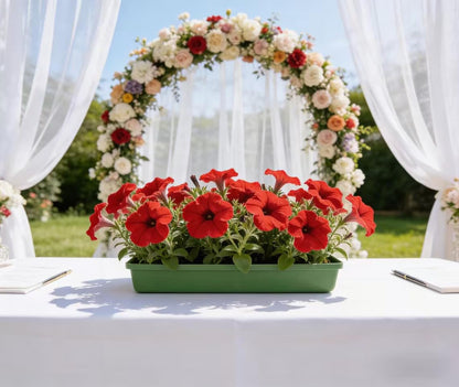 10pcs Flower Mud Fixing Plate, Floral Foam Bowls Rectangle Flower Arrangement Holder Tray Flower Arrangement Base for Table Party Wedding Festival Flower Decor