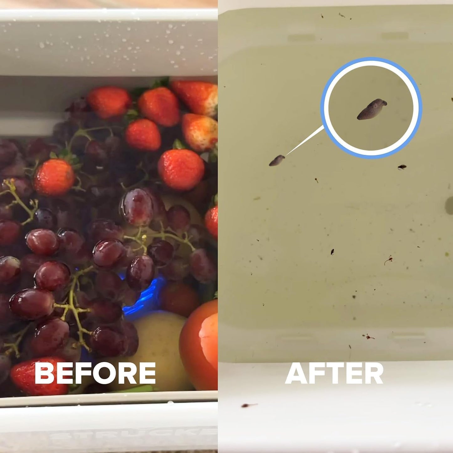 Fruit Vegetable Washing Machine, USB Portable Ultrasonic Electrolysis Fruit Purifier, Mini Dishwasher for Cleaning.