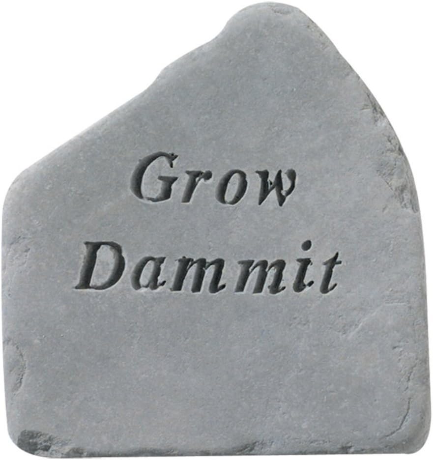 Kay Berry Dammit Grow Accent Rock