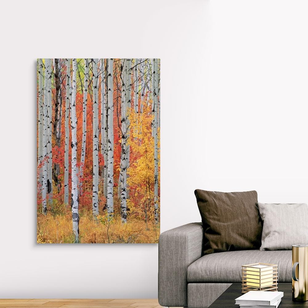 CANVAS ON DEMAND A Forest of Aspen and Maple Trees in the Wasatch Mountains, Utah Canvas Wall Art Print, Home Decor, Season, United States Artwork,40" x60in