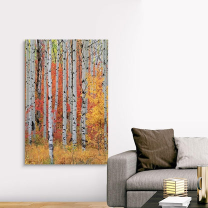 CANVAS ON DEMAND A Forest of Aspen and Maple Trees in the Wasatch Mountains, Utah Canvas Wall Art Print, Home Decor, Season, United States Artwork,40" x60in