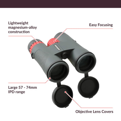 Oberwerk Sport ED 8x42 Professional Binoculars, Roof Prism, Fully Multi-Coated & Waterproof, Dielectric & Phase-Coated Prisms, Twist-Up Eyecups, Bird Watching, Hiking & Outdoor Use, Green