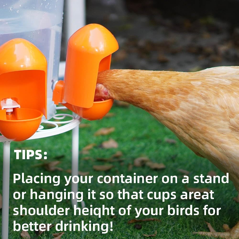 Labodey (5 Pack) Large Chicken Waterer Cups Automatic with Anti-Roosting Cover | Poultry Waterer Cups Suitable