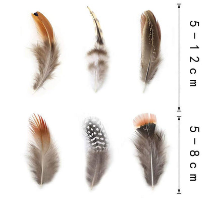 360pcs 12 Styled Natural Feathers Assorted Mixed Feathers for Jewelry and Dream Catcher Crafts