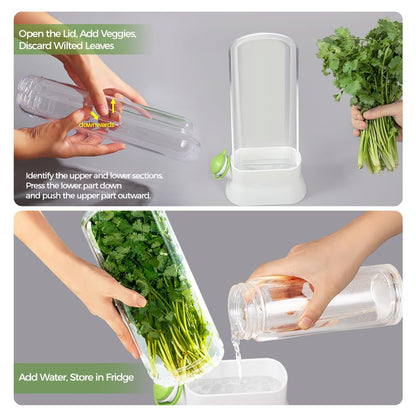orimetre Herb Keeper for Refrigerator – Lettuce & Cilantro Container, Fresh Vegetable Saver Pod, Storage Bottle & Fresh-Keeping Box for Spinach, Asparagus, Celery, Mint (White)
