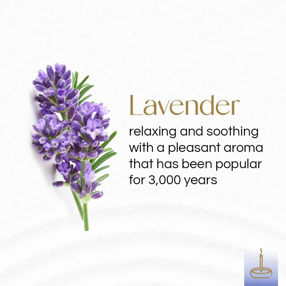 Gonesh Extra Rich Scented Incense Sticks, Non-Toxic 10” Slow Burn Aromatic Sticks, Lavender, 80 Pack