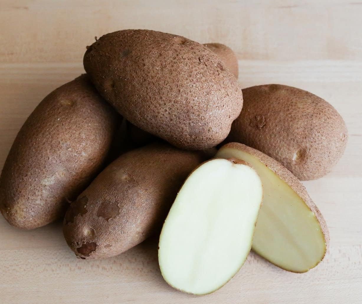 Russet Bulbs 2026-2 TomorrowSeeds - Seed Potatoes - USDA Certified for Growers Size B Non GMO Brown Burbank Idaho