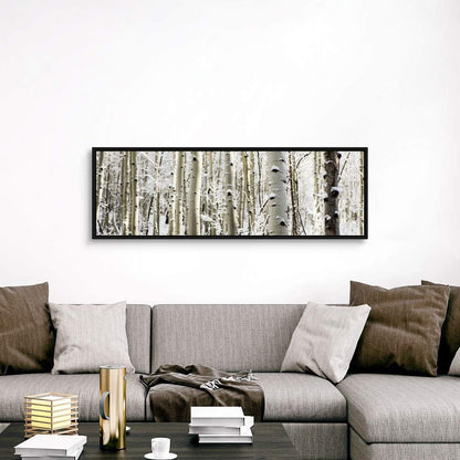Snowy Birch Trees in a Forest, Aspen, Black Float Frame Canvas Art, Tree Artwork