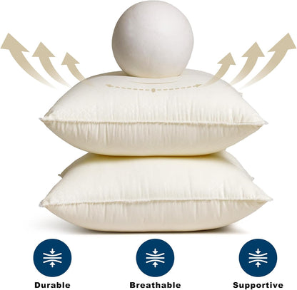 Skiennix 18 x 18 Throw Pillow Inserts - Soft Plush Virgin Fiber Filling | Machine Washable - White, Set of 2