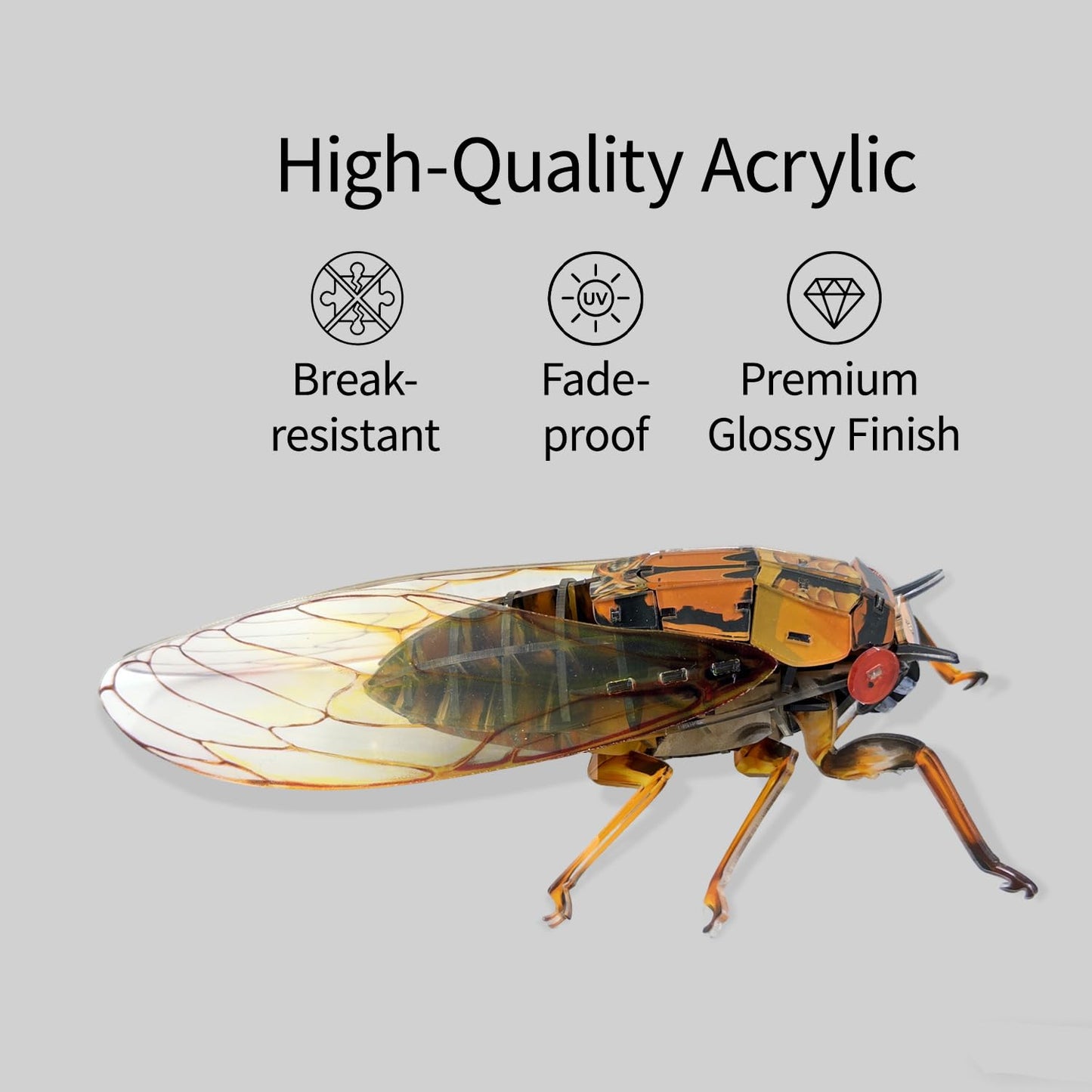 HELLOTOY 3D Acrylic Insects Puzzles DIY Bug Model Kit for Teenagers Educational Display Nature Decoration Figurine Sculpture (Cicada)