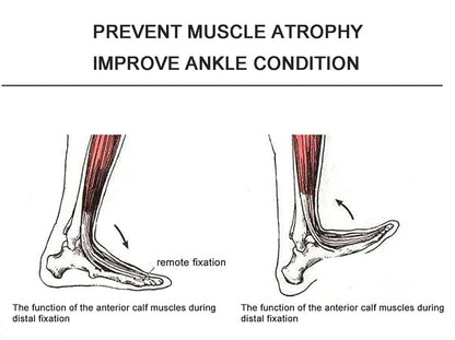 Oiyeknrd Ankle Joint Rehab Training Equipment,Ankle Joint Stretching Exerciser,Ankle Post-Operative Trainer,Angle/Strength Adjustable,for Reducing Pain/Ankle Sprain Manual