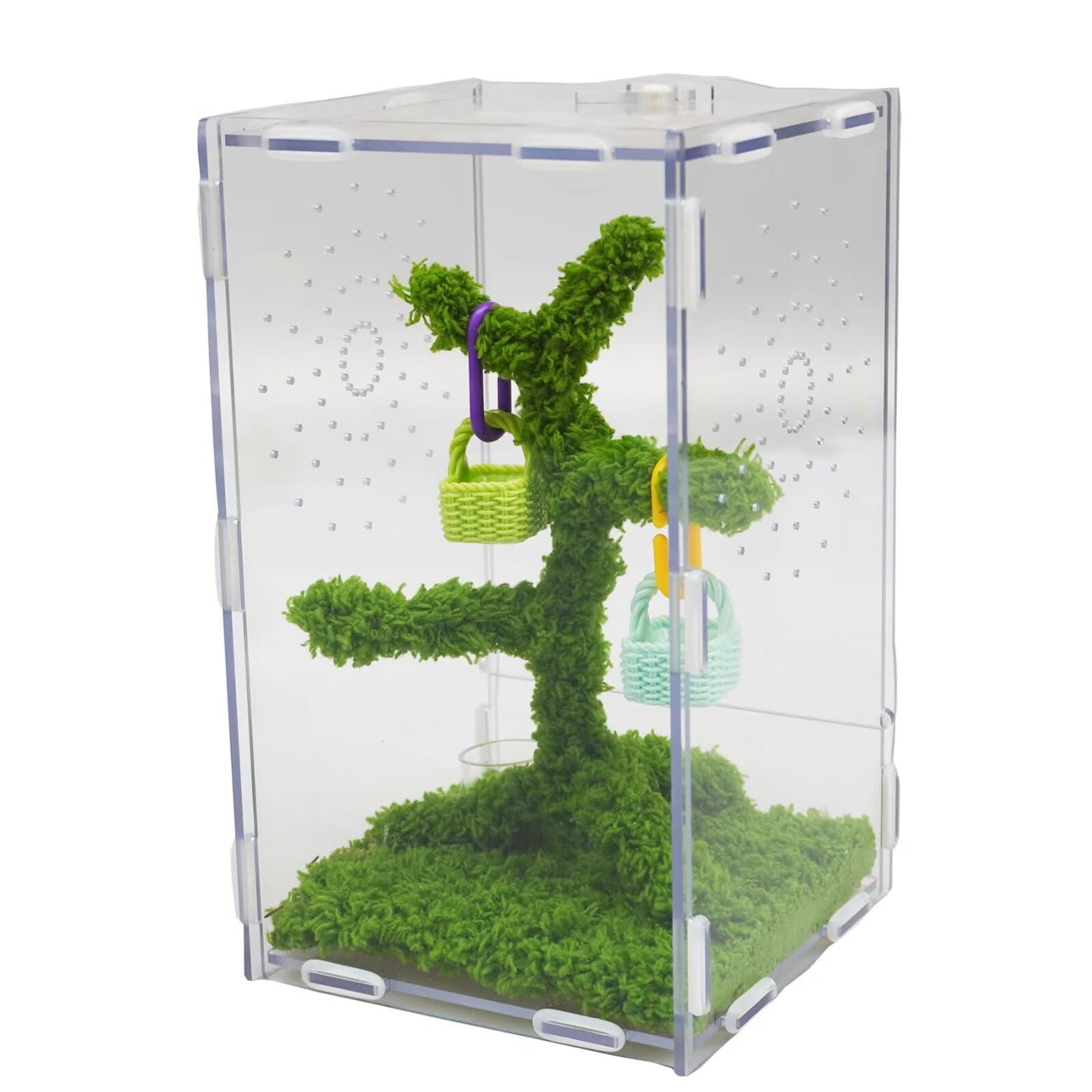 Jinymral Jumping Spider Enclosure Kit with Acrylic Habitat, Feeding Tongs & Decor – 8.66"x5.12"x4.72" Ventilation Terrarium for Pet Spiders, Reptiles & Small Arboreal Pets