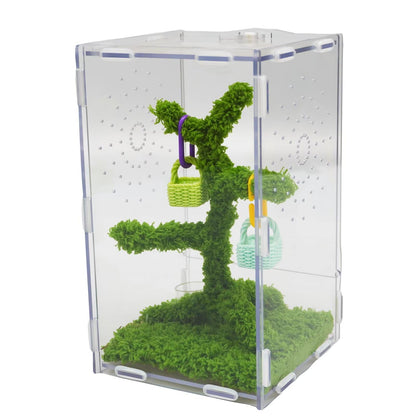 Jinymral Jumping Spider Enclosure Kit with Acrylic Habitat, Feeding Tongs & Decor – 8.66"x5.12"x4.72" Ventilation Terrarium for Pet Spiders, Reptiles & Small Arboreal Pets