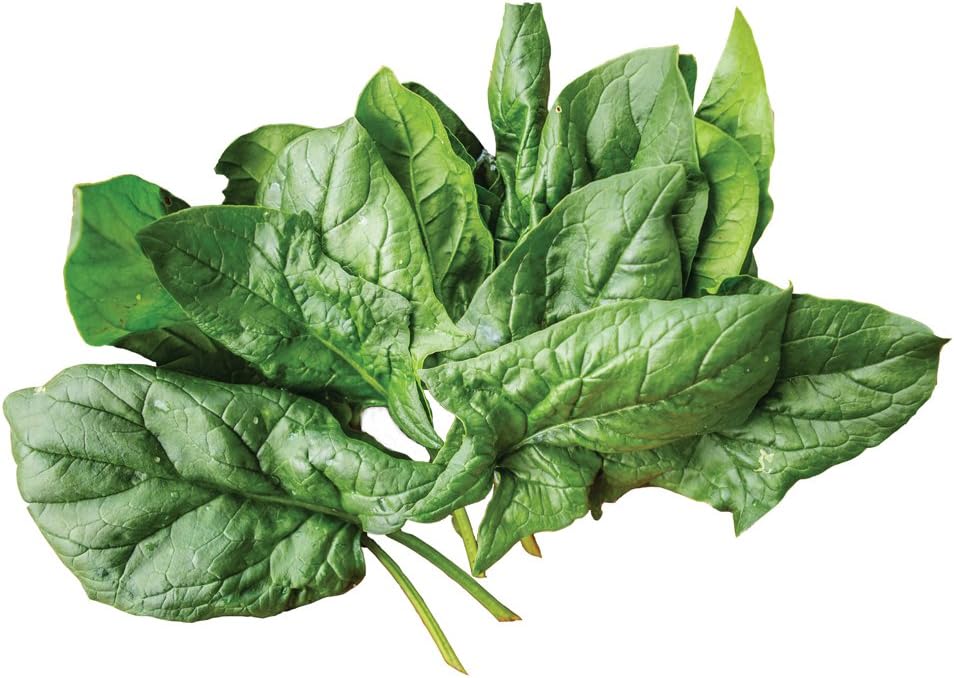 300 Burpee A La Carte Hybrid Spinach Seeds seeds