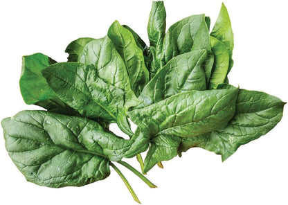 300 Burpee A La Carte Hybrid Spinach Seeds seeds