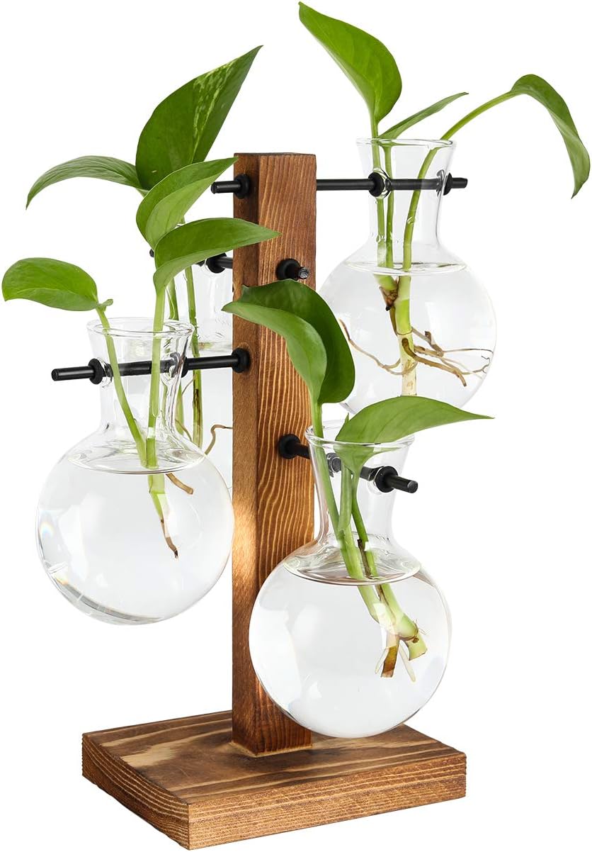 4 Bulb PAG Planter Terrariums Kit Desktop Hydroponics Air Plant Holder with Beaker Glass Vase and Solid Wood Stand
