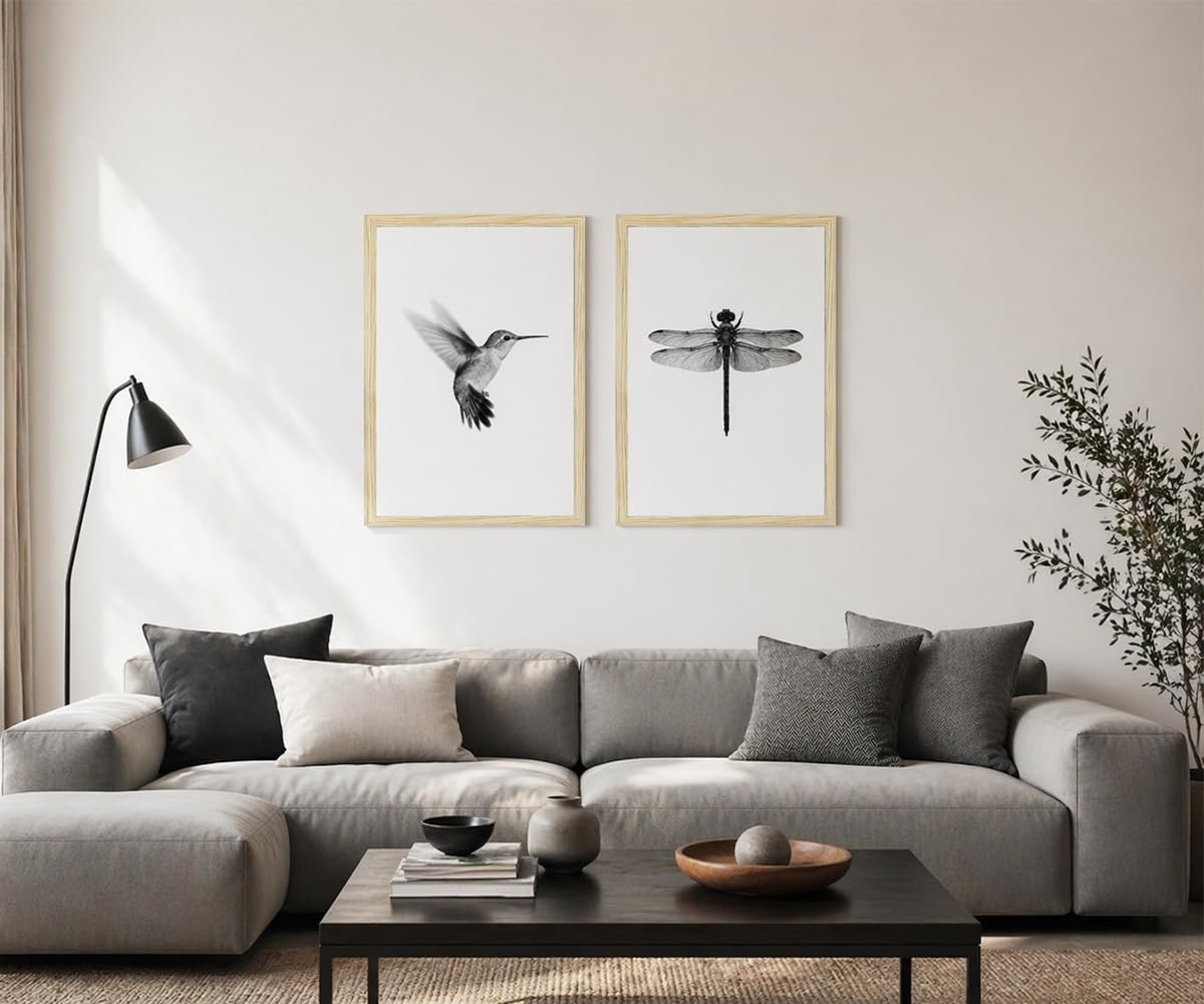 2pcs Black and White Minimalist Wall Art Modern Hummingbird Dragonfly Poster Print, Scandinavian Japandi Style Nature Picture Painting, Neutral Bedroom Living Room Wall Decor 12x16 Inches