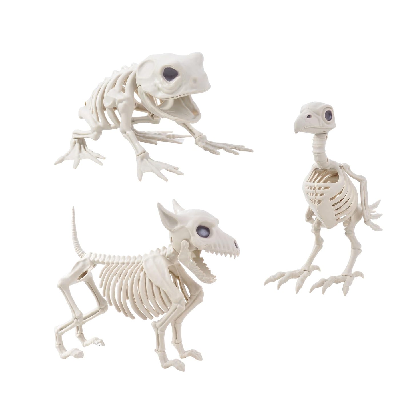 HRONG 3PCS Animal Skeleton Figurines, Plastic Skeletons Dog Crow Frog Ornaments, Halloween Skeleton Decorations for Home Office Desk, Spooky Party Favors & Gifts for Men Women