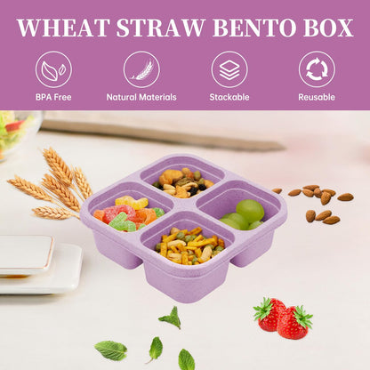 Luriseminger 5 Pack Bento Lunch Box,4 Compartment Snack Containers,Divided Snack Box,Meal Prep Lunch Containers FOR Kids/Toddle/Adults,Food Storage Containers for School, Work and Travel