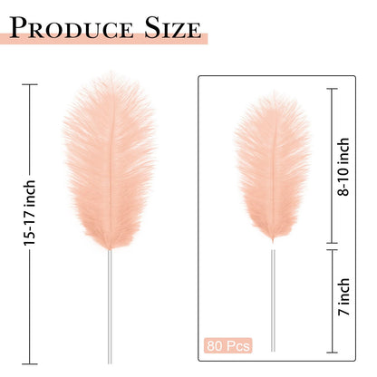 80pcs 15-17 inches (38-43 cm) Natural Bulk Ostrich Feathers Kit. Kits Contain 8-10 inches of Feathers and 7 inches of White Feather Sticks.for Various DIY Projects. (Champagne, 8-10-Inch)