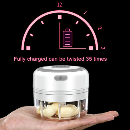Electric Mini Garlic Chopper, 100ML Food Chopper Garlic Mincer USB, Portable Small Food Processor for Vegetables