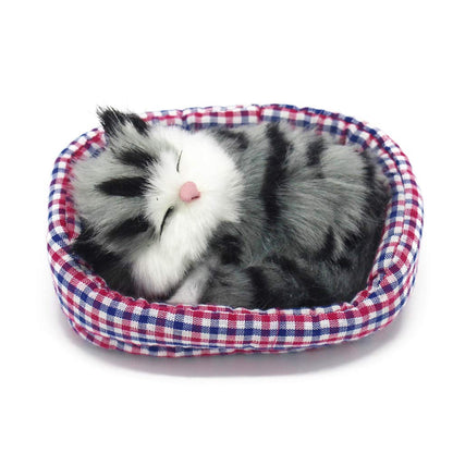 Coolayoung 2Pcs Sleeping Cat in Pet Pad Doll Toy, Mini Kitten in Pet Pad with Meows Sounds Decor for Office Desk Hand Toy Gift for Kids Boys Girls