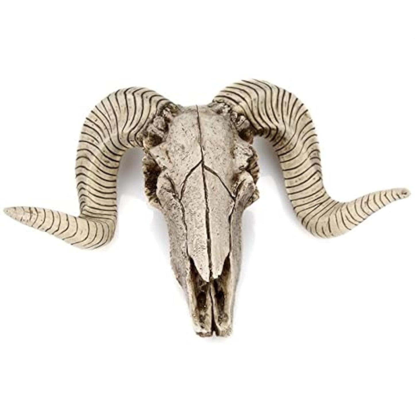 YOWOY Skull Sheep Head Wall Sculpture,Resin Ram Decorations,Ram Sheep Skull Decor - Animal Skeleton Sculpture Hanging Art Collectible (A)