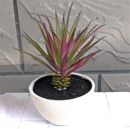 Mixed Artificial Succulent Flowers Plants - Unpotted Decor Stems Faux Succulents Bulk Assorted Picks for Indoor Wall