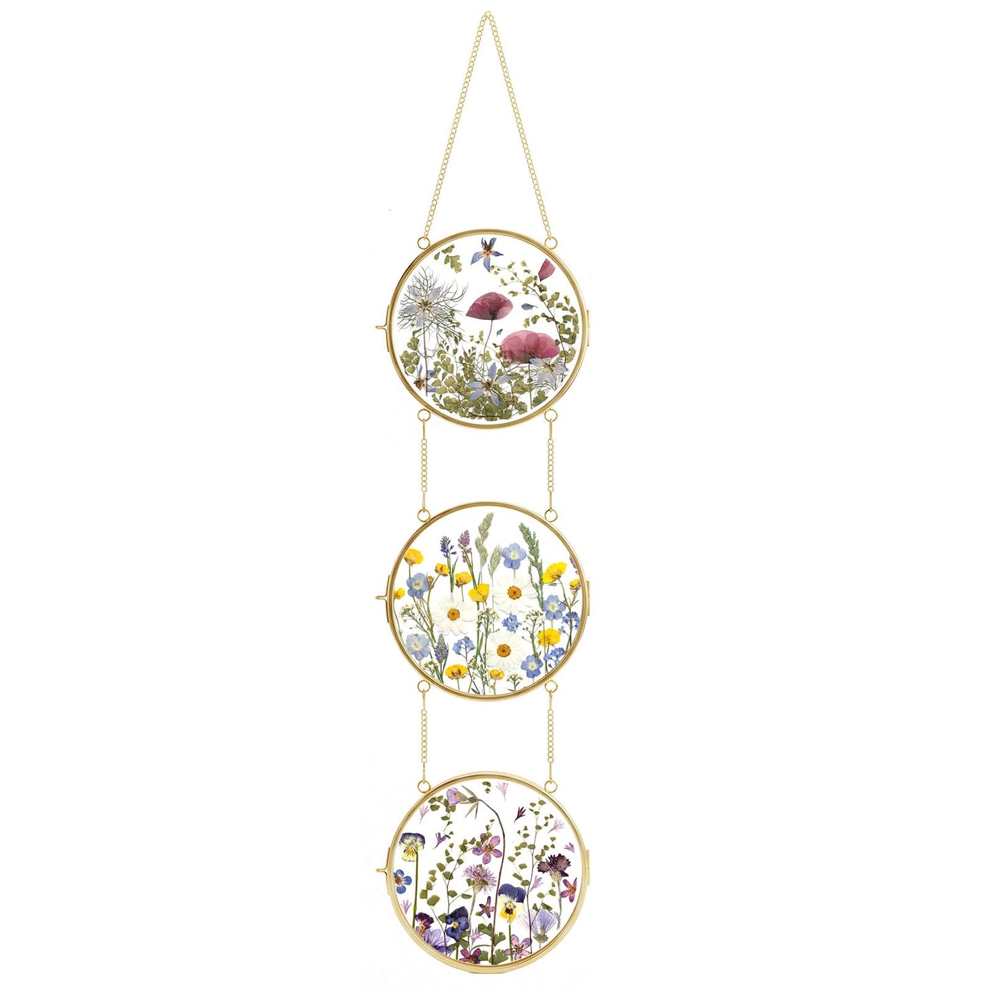 FOCHIER F Pressed Flower Frames with Tweezers,Wall Hanging Double Glass Frames with Metal Chain for Pressed Dried Flowers,Gold Picture Frame with Plants Golden Tabletop Décor, Horizontal and Vertical