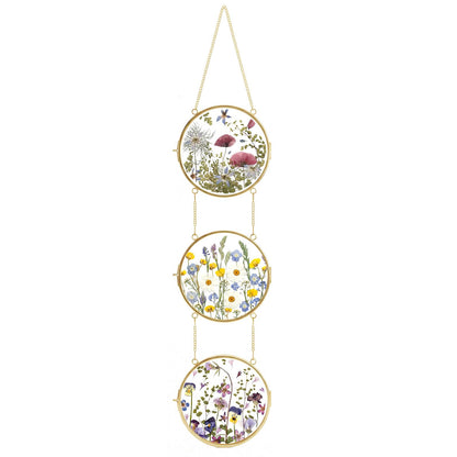 FOCHIER F Pressed Flower Frames with Tweezers,Wall Hanging Double Glass Frames with Metal Chain for Pressed Dried Flowers,Gold Picture Frame with Plants Golden Tabletop Décor, Horizontal and Vertical