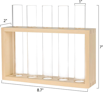 5 Kingbuy Wall Propagation Station with Test Tube Vases - Vintage Wood Stand Wall Hanging Planter for Plants, Tabletop