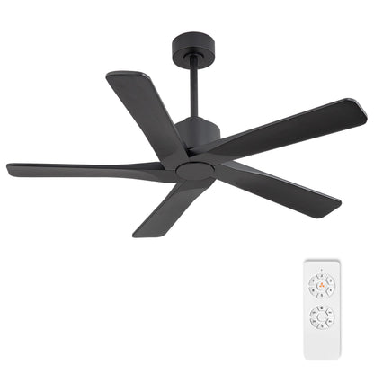 WINGBO 48" DC Ceiling Fan No Light - 5 Carved Solid Wood Blades, 6-Speed Reversible DC Motor, Ceiling Fan without Lights for Living Room Bedroom Kitchen Patio, Indoor and Outdoor, Matte Black