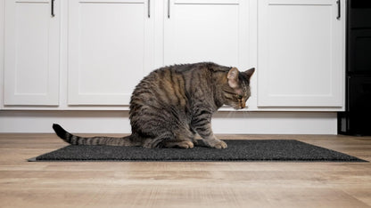 Notrax - 136S0036CH 136 Polynib Entrance Mat, for Home or Office, 3' X 6' Charcoal