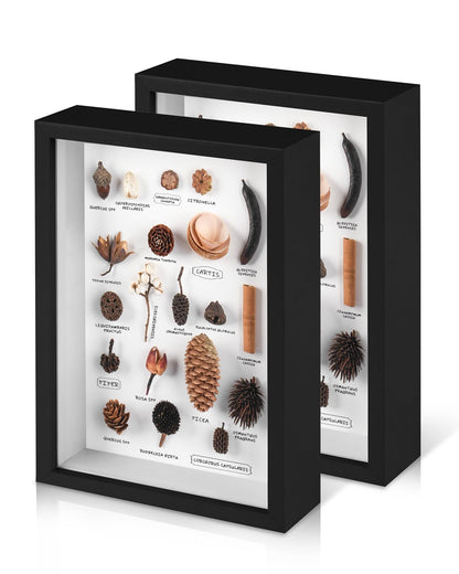 2 Pack 8x10 Shadow Box Frame with Plexiglass, Wood Frame Display Case Box for Memorabilia, Dried Flowers, Medal, Crafts, Tickets and Photos (Black, 8x10)