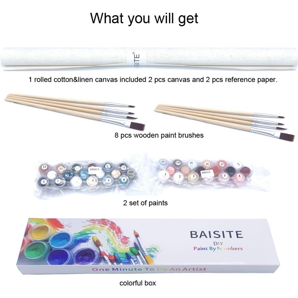 BAISITE Paint by Numbers Kit for Adults Beginners,12" Wx16 L 2 Pack Canvas for Painting Kits for Adults in Colorful Box-Sunset Lake Mountains1112