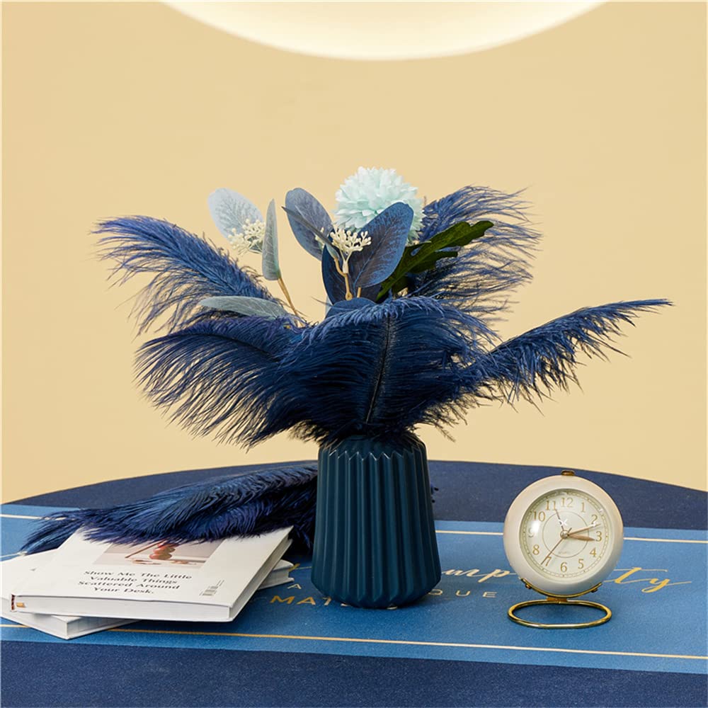 NEWONG 30pcs Navy Blue Ostrich Feathers Natural Bulk 9-12inch(23-30cm) Vase Craft Wedding Home Party Centerpieces Christmas Day Decoration