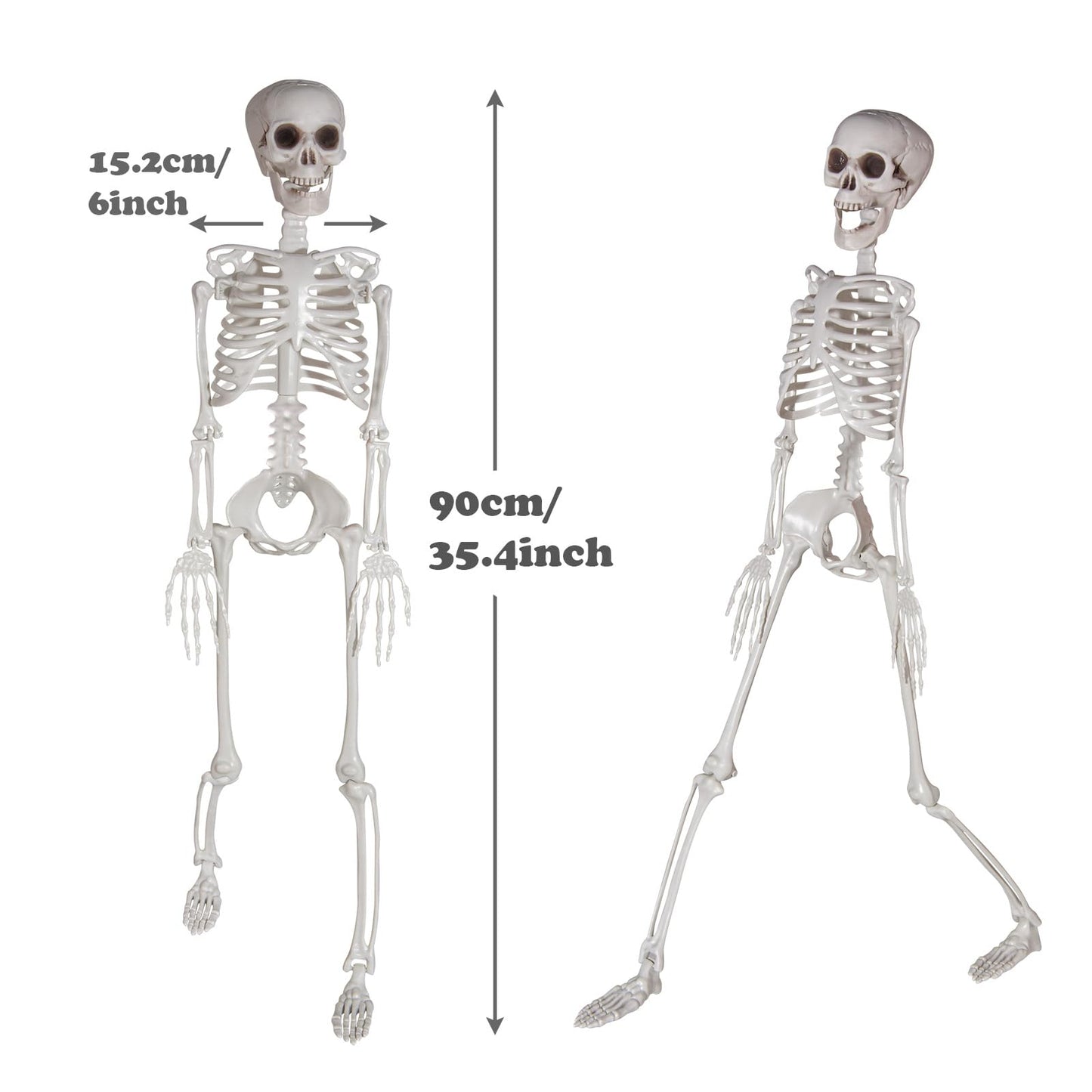 Kukooka 3ft Halloween Skeleton Decor Plastic Life Size Full Body Human Bones with Movable Joints for Halloween Decoration (1 Piece)