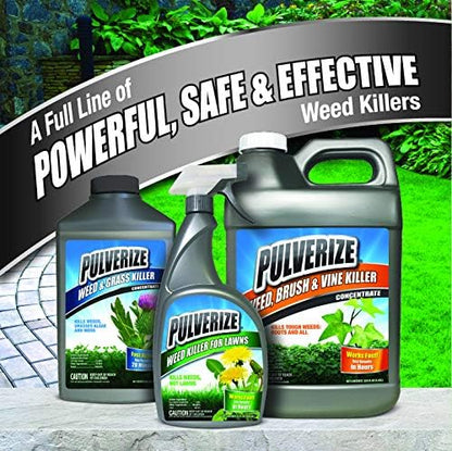 Regine Switzerland Weed Brush & Vine Killer - Fast Acting, Non-Staining Herbicide, 32 oz.