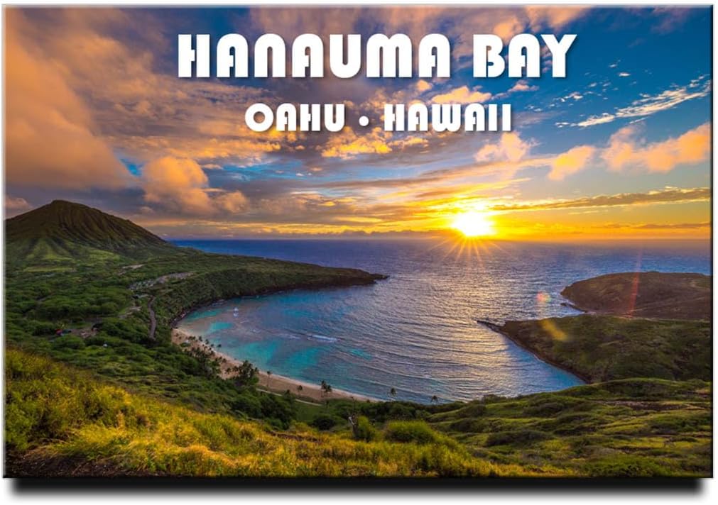 Hanauma Bay State Park Fridge Magnet, Oahu Hawaii Honolulu Refrigerator Door Photo Travel Souvenir
