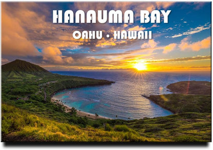 Hanauma Bay State Park Fridge Magnet, Oahu Hawaii Honolulu Refrigerator Door Photo Travel Souvenir
