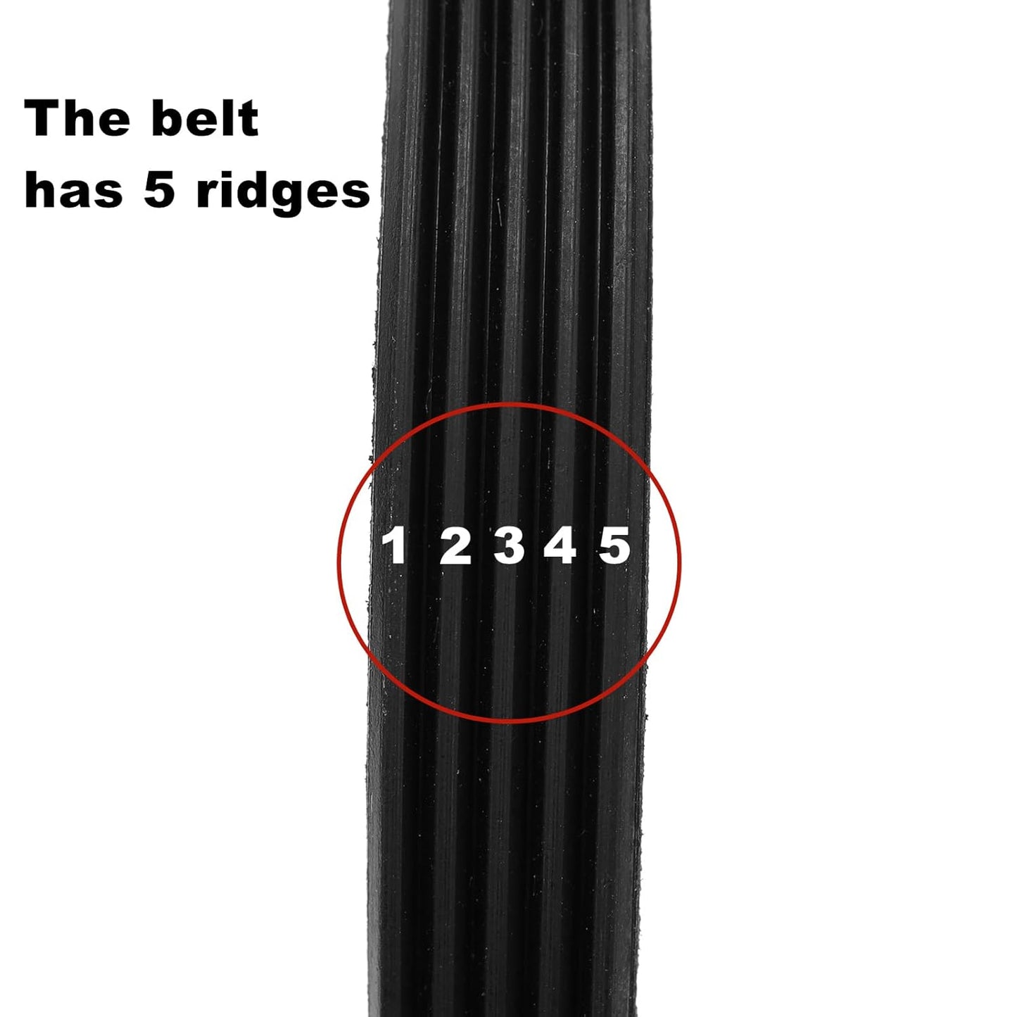 Washing Machine Rubber Drive Belt 5EPJ1225, Compatible with Hoover Candy Washing Machines