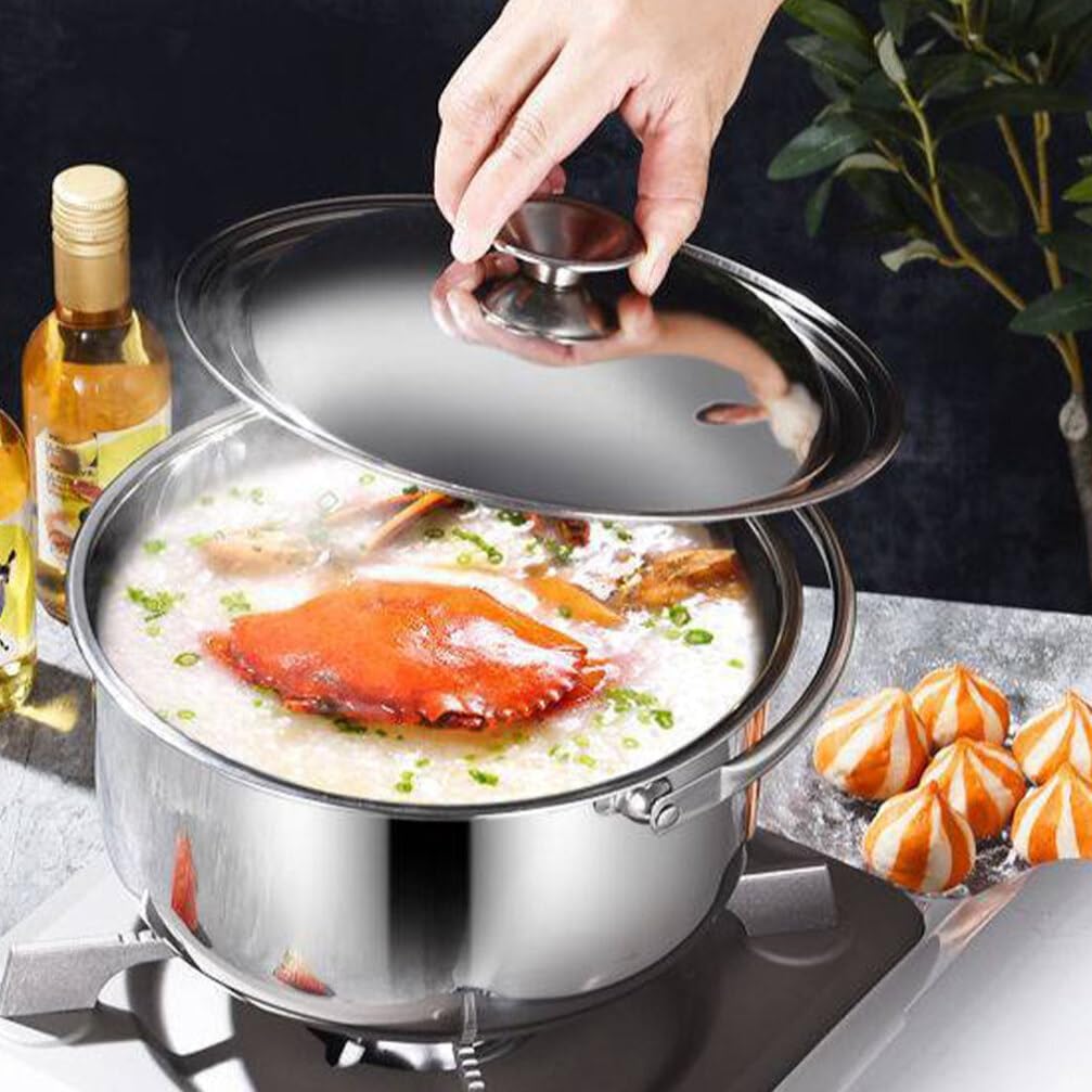 Hemoton 1.6L/1.5QT Stainless Steel Stockpot with Lid & Handle for Cooking Pasta, Soup, Stew
