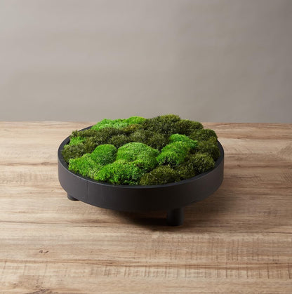 Prefleur Large Natural Green Decorative Moss Reindeer Vase & Bowl Filler|Preserved Leaves, Ferns, Dried Plant Christmas Wedding Party Decor(Christmas-1)