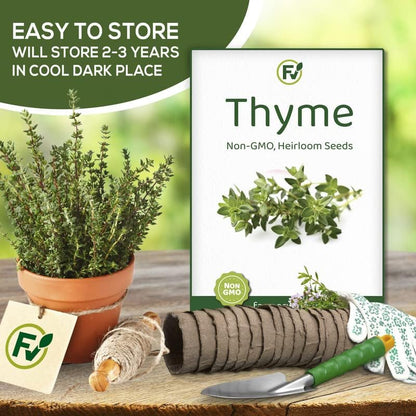 Pack 200+ Thyme Seeds for Planting Home Garden Herbs - Non-GMO, Heirloom, Untreated, and USA Grown Variety - Individual