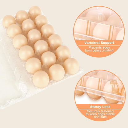 LOYORTY 50PCS Plastic Egg Cartons,18 Count Reusable Egg Carton Cheap Bulk, 3x6 Grids Clear Empty Eggs Cartons for Family, Farm, Markets